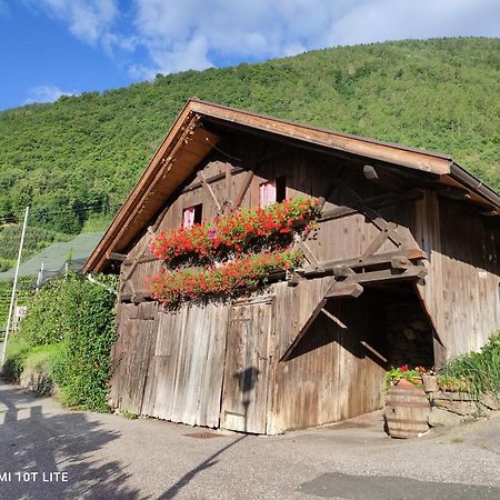 Ruhige Ferienwohnung Mit Garten Und Garage In Privatvilla 말렝고 외부 사진