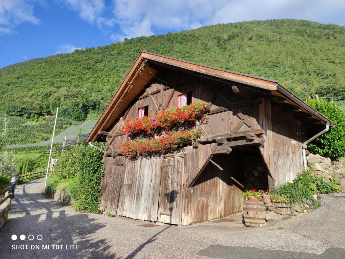 Ruhige Ferienwohnung Mit Garten Und Garage In Privatvilla 말렝고 외부 사진
